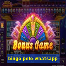 bingo pelo whatsapp